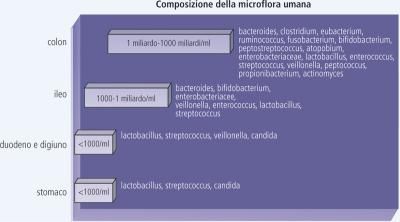 Flora Batterica: Definizione E Significato Medico | Corriere Salute